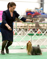 Dogshow 2016-01-29 Grayslake--184018