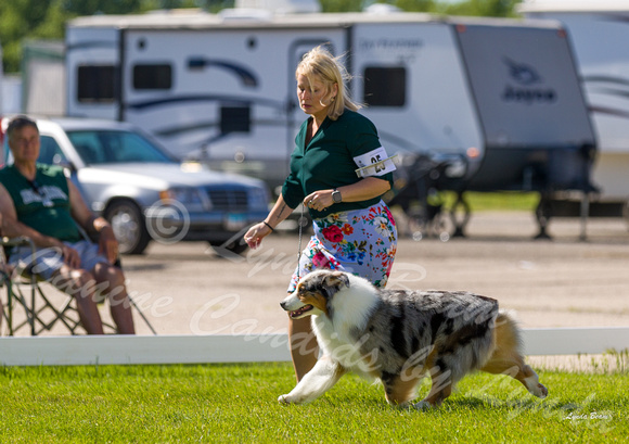Dogshow 2022-06-17 Northeastern Illinois Kennel Club--151219-4