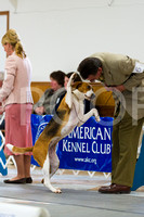 Best in Show - Clinton Iowa KC, Saturday, March 30 2012