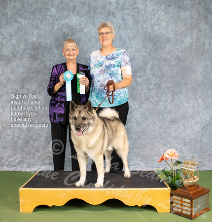 Dogshow 2022-07-03 NEINEA Win Photos --093141-3