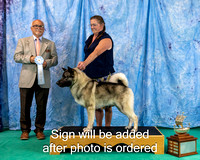 Dogshow 2024-06-29 NEINEA 2024 Win Photos--142506