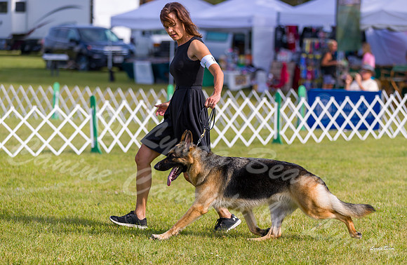 Dogshow 2019-08-11 Greater Racine KC (Sun) -- 090535