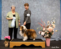 Dogshow 2025-04-05 2025 Interlocking SSC of Monee Win Photos --152535-2