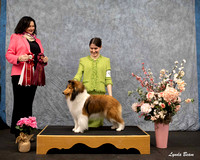 Dogshow 2025-04-05 2025 Interlocking SSC of Monee Win Photos --115303-3