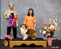 Dogshow 2025-04-05 2025 Interlocking SSC of Monee Win Photos --152215
