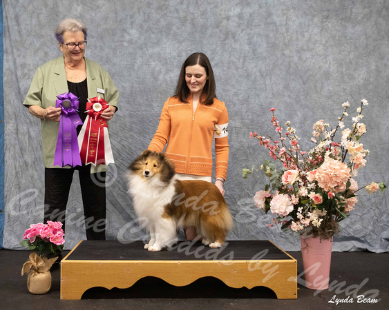 Dogshow 2025-04-05 2025 Interlocking SSC of Monee Win Photos --152215