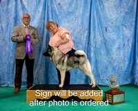 Dogshow 2024-06-29 NEINEA 2024 Win Photos--142834-3