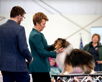 Dogshow 2025-03-01 2025 CSSC Candids --103721