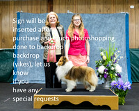 Dogshow 2022-04-09 ISSC Win Photos --125647