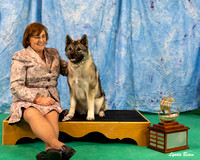 Dogshow 2024-06-29 NEINEA 2024 Win Photos--110905-2