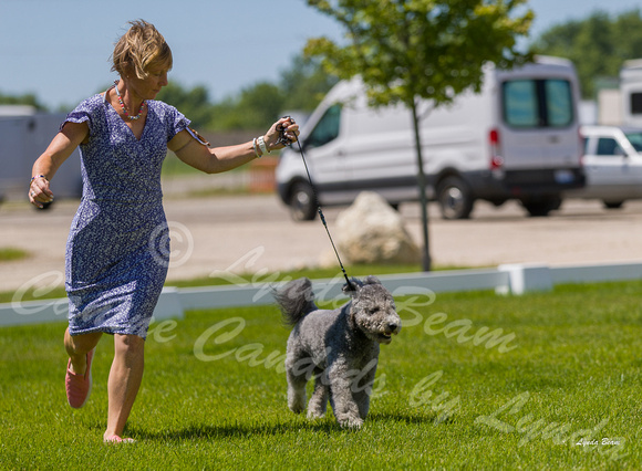 Dogshow 2022-06-17 Northeastern Illinois Kennel Club--131156-2