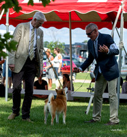 Dogshow 2022-08-01 Burlington WI KC--141912