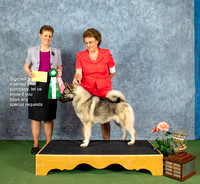 Dogshow 2022-07-03 NEINEA Win Photos --101244-3