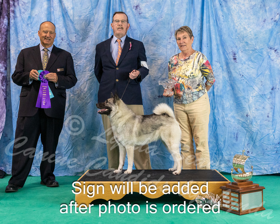 Dogshow 2024-06-30 NEINEA 2024 Win Photos--122243