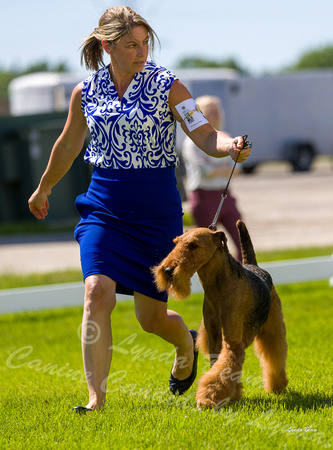 Dogshow 2022-06-17 Northeastern Illinois Kennel Club--142829-3