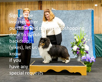 Dogshow 2022-04-09 ISSC Win Photos --133802-2