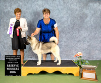 Dogshow 2022-07-03 NEINEA Win Photos --114943