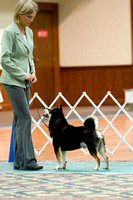 NSCA Parent Specialty (Sun) Best of Breed Competition