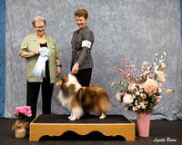 Dogshow 2025-04-05 2025 Interlocking SSC of Monee Win Photos --152540-2