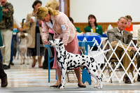 Best in Show - Clinton Iowa KC, Saturday, March 30 2012