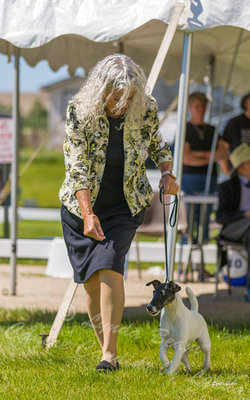 Dogshow 2022-06-17 Northeastern Illinois Kennel Club--143513