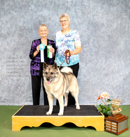 Dogshow 2022-07-03 NEINEA Win Photos --093141-2