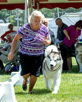 Dogshow 2022-08-01 Burlington WI KC--113217