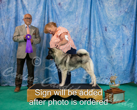 Dogshow 2024-06-29 NEINEA 2024 Win Photos--142848