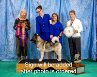 Dogshow 2024-06-29 NEINEA 2024 Win Photos--105436