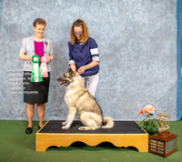 Dogshow 2022-07-03 NEINEA Win Photos --101901-2