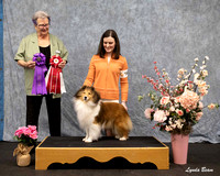 Dogshow 2025-04-05 2025 Interlocking SSC of Monee Win Photos --152217