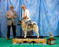 Dogshow 2024-06-29 NEINEA 2024 Win Photos--142642