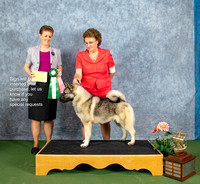 Dogshow 2022-07-03 NEINEA Win Photos --101244-2