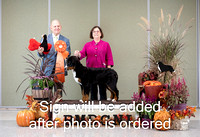Dogshow 2024-10-26 BMDCNI Day 2--165926-2
