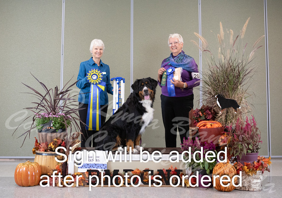 Dogshow 2024-10-26 BMDCNI Day 2--111620-2