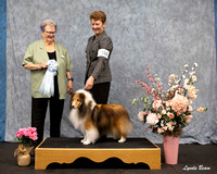 Dogshow 2025-04-05 2025 Interlocking SSC of Monee Win Photos --152537