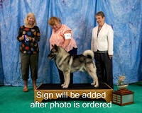 Dogshow 2024-06-29 NEINEA 2024 Win Photos--105912-2