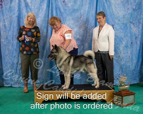 Dogshow 2024-06-29 NEINEA 2024 Win Photos--105912-2