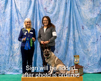 Dogshow 2024-06-30 NEINEA 2024 Win Photos--100456