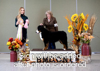 Dogshow 2024-10-27 BMDCNI Day 3--124459