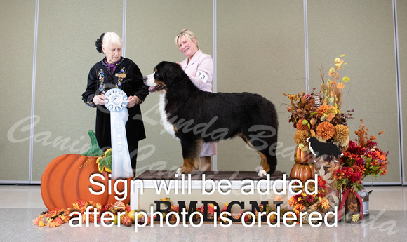 Dogshow 2024-10-25 BMDCNI Day 1--162031-3