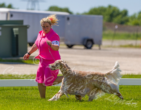 Dogshow 2022-06-17 Northeastern Illinois Kennel Club--134000-4