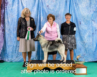 Dogshow 2024-06-30 NEINEA 2024 Win Photos--110421