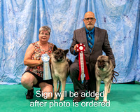 Dogshow 2024-06-30 NEINEA 2024 Win Photos--123102