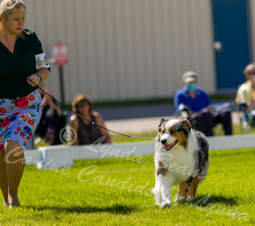 Dogshow 2022-06-17 Northeastern Illinois Kennel Club--151222-3