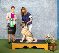 Dogshow 2022-07-03 NEINEA Win Photos --101854