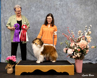 Dogshow 2025-04-05 2025 Interlocking SSC of Monee Win Photos --152214-3
