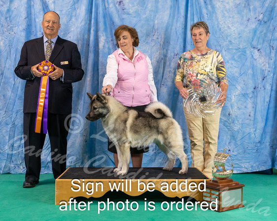 Dogshow 2024-06-30 NEINEA 2024 Win Photos--121230