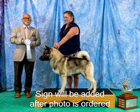 Dogshow 2024-06-29 NEINEA 2024 Win Photos--142507-3