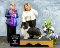 Dogshow 2022-04-09 ISSC Win Photos --133804